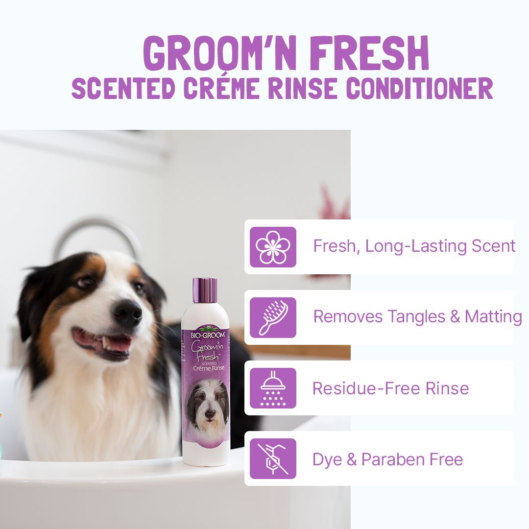 Bio-Groom Groom 'N Fresh Scented Creme Rinse