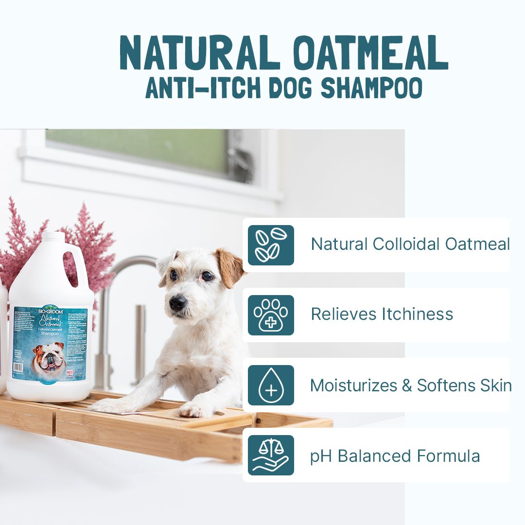 Bio-Groom Natural Oatmeal Soothing Anti-Itch Shampoo