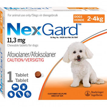 Nexgard Chewable Tablet