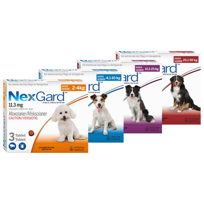 Nexgard Chewable Tablet