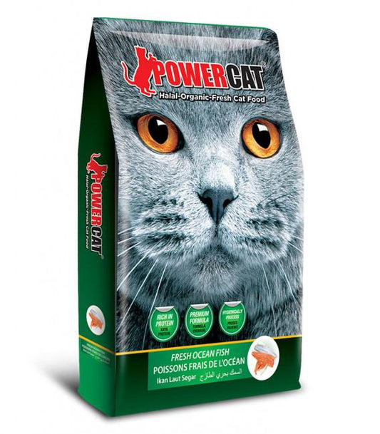 Powercat Ocean Fish