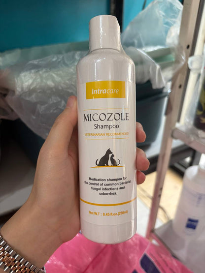 Micozole Medicated Shampoo