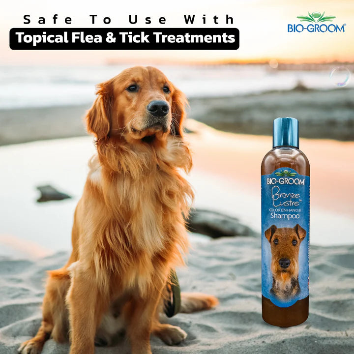 Bio-Groom Bronze Lustre Color Enhancing Shampoo
