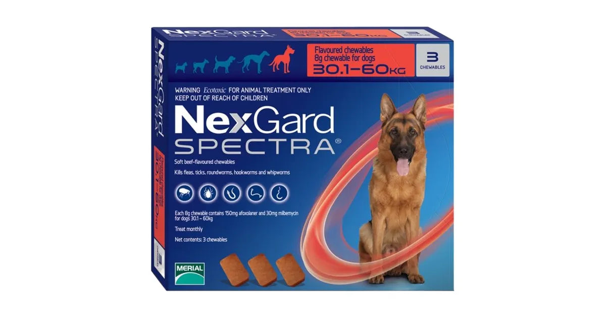 Nexgard Spectra