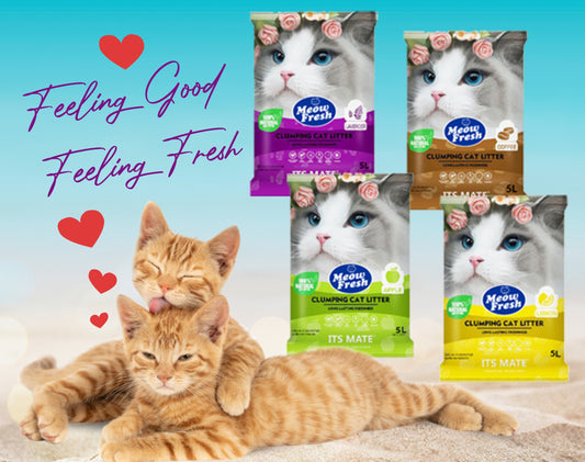 Meow Fresh Bentonite Cat Litter 5L