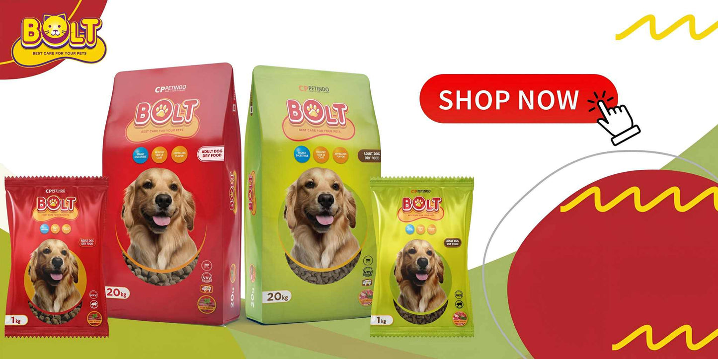 Bolt Adult Dog