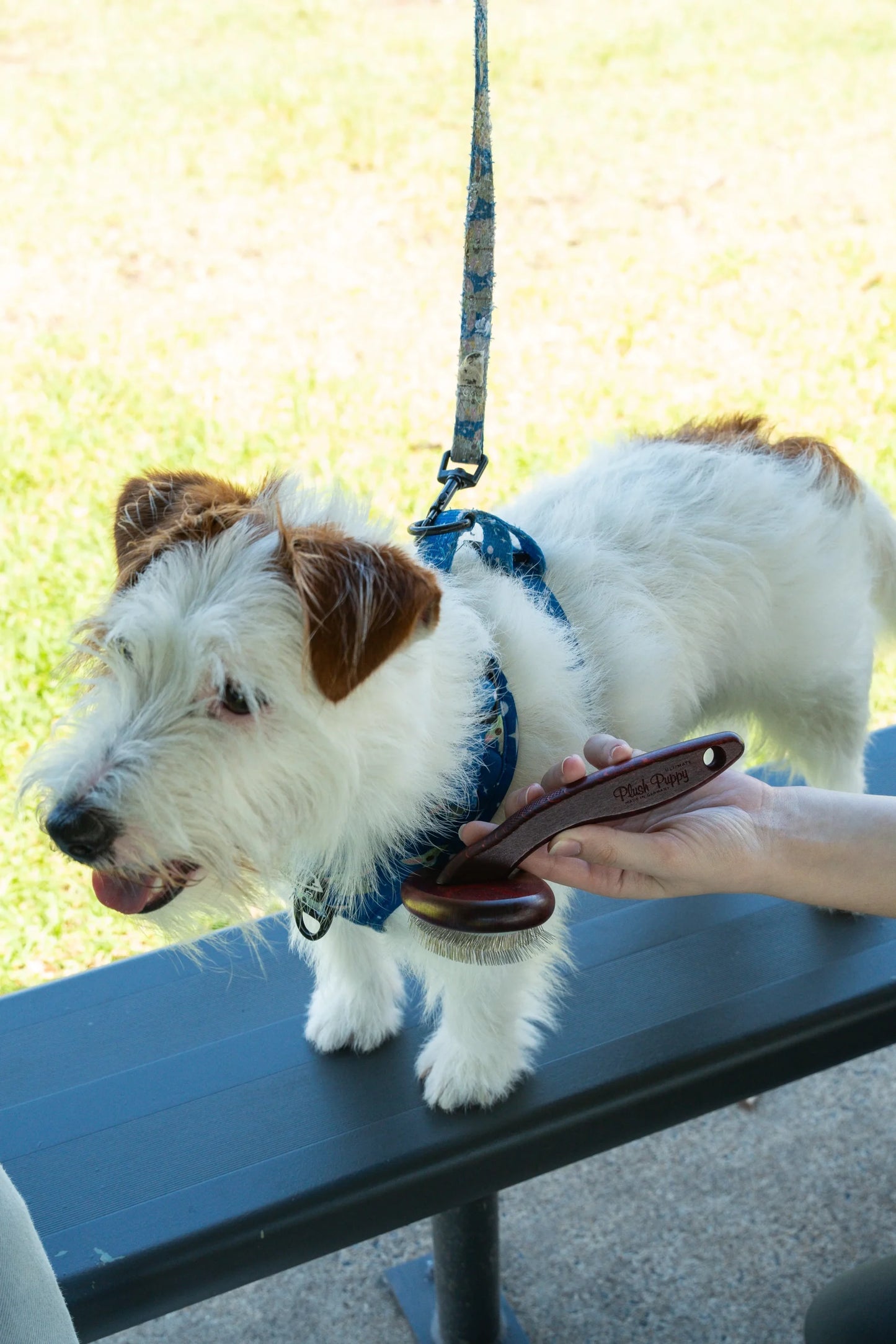 Plush Puppy Ultimate Soft Slicker Brush
