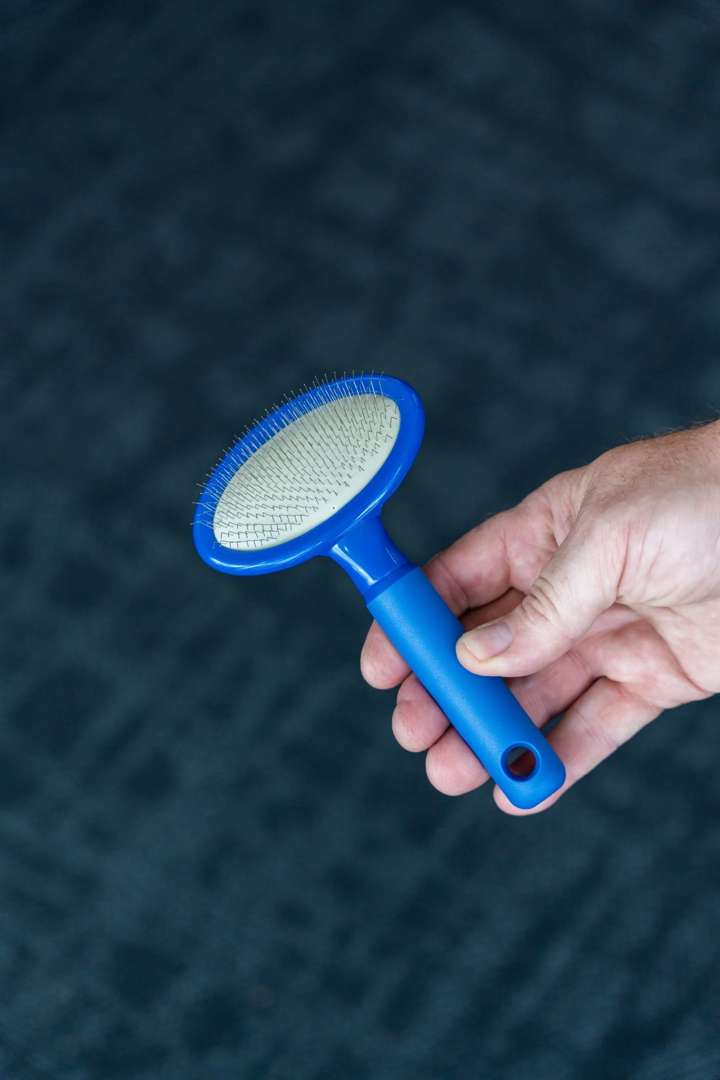 Plush Puppy Blue Mini Slicker Brush