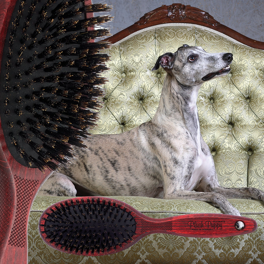 Plush Puppy Ultimate Pure Boar Bristle Brush