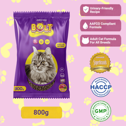 Bolt Cat Adult- Tuna