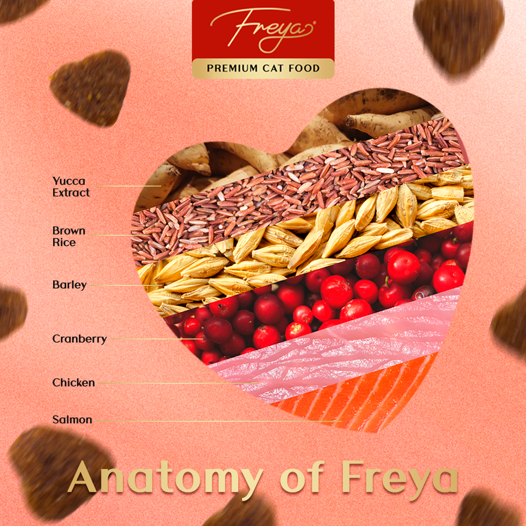 Freya Urinary Cat Food- All Life Stages
