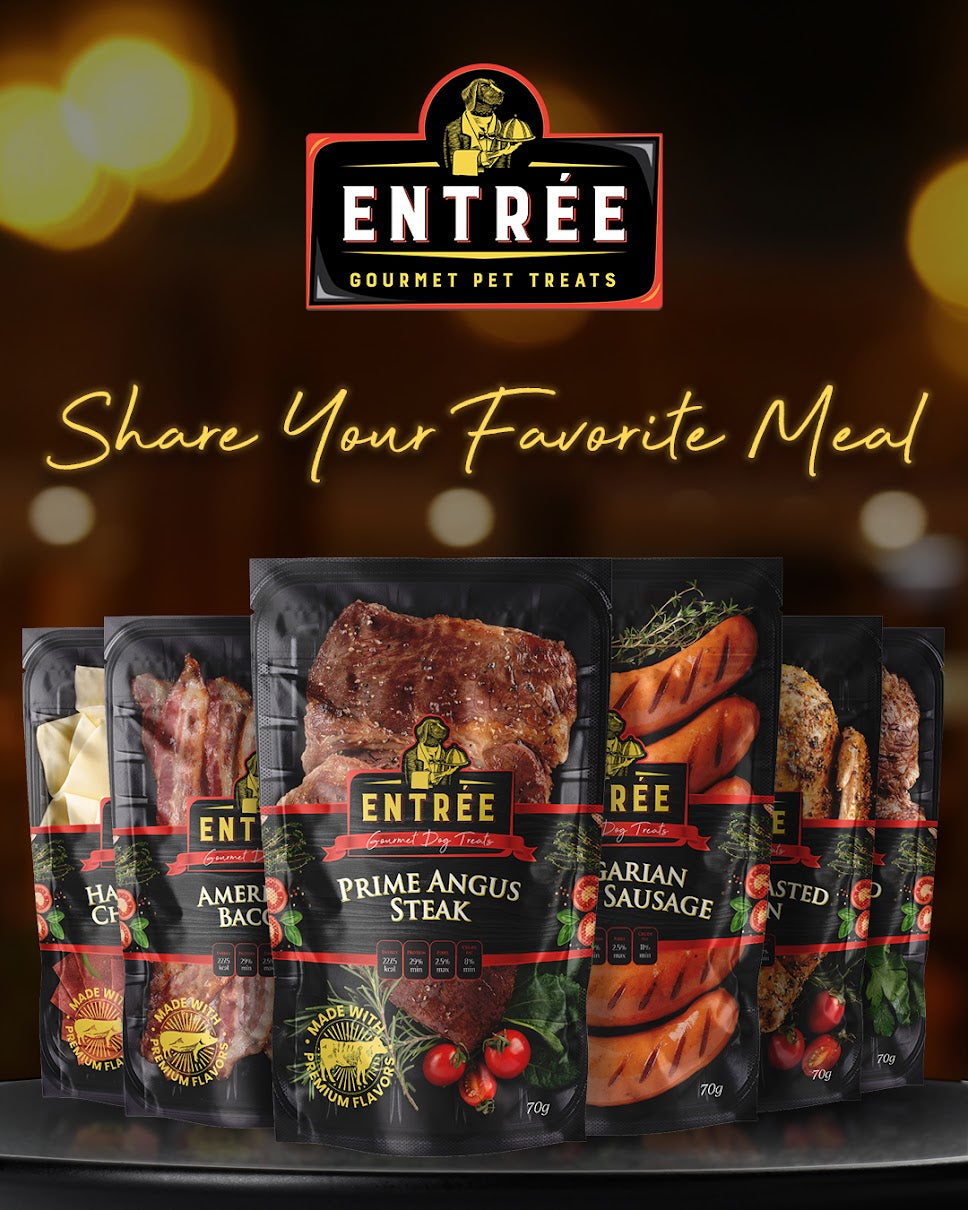 Entree Gourmet Dog Treats 70g