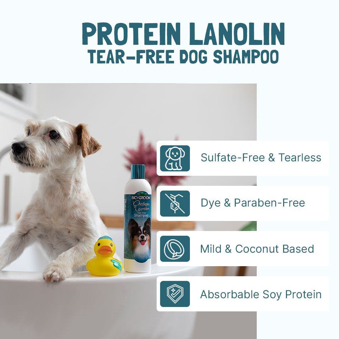 Bio-Groom Protein Lanolin Tearless Shampoo