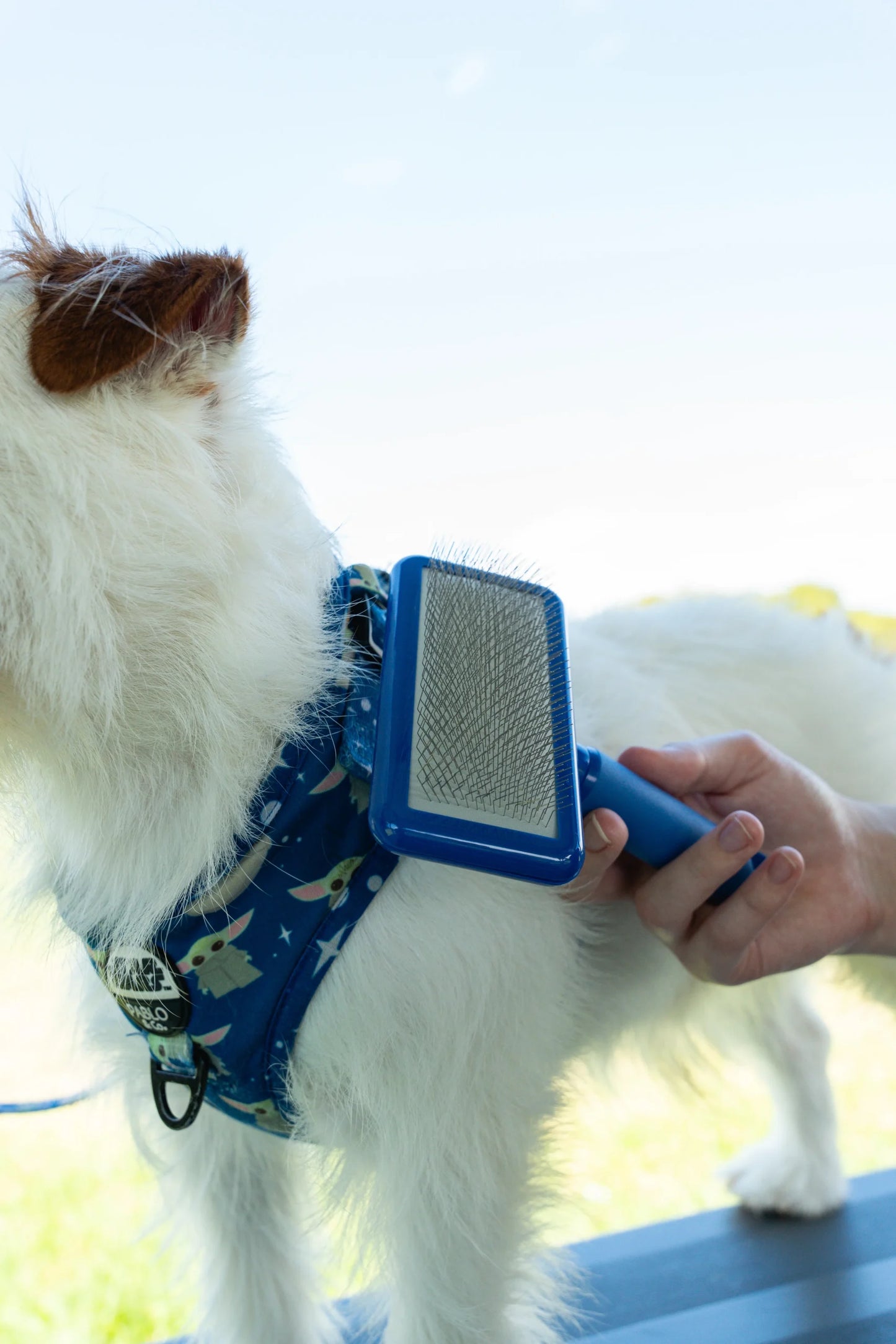 Plush Puppy Blue Slicker Brush Soft