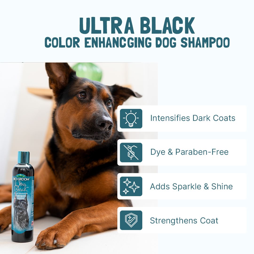 Bio-Groom Ultra Black Color Enhancing Shampoo