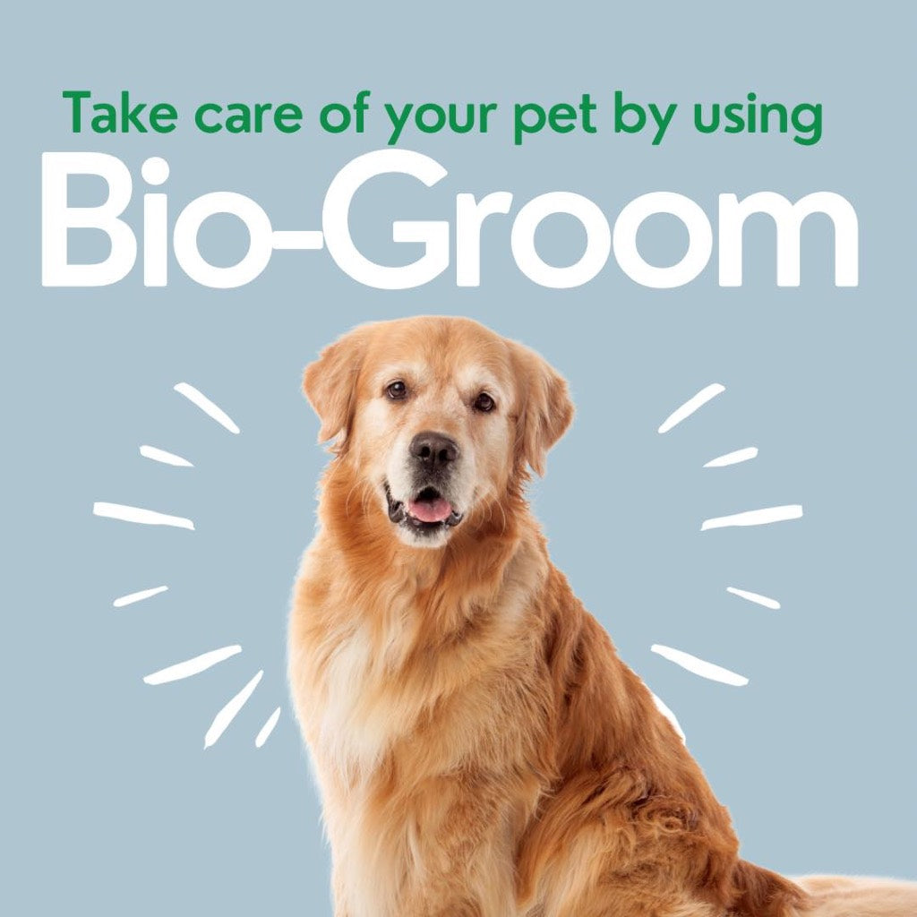 Bio-Groom Spray Set Extra Hold Texturizer