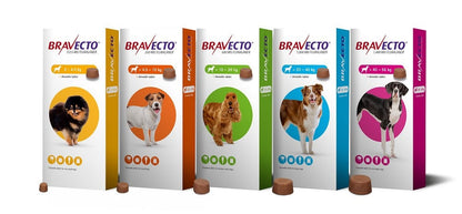 Bravecto Chewable Tablet