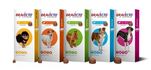 Bravecto Chewable Tablet