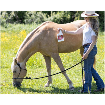 Bio-Groom Repel-35 Flea & Tick Spray